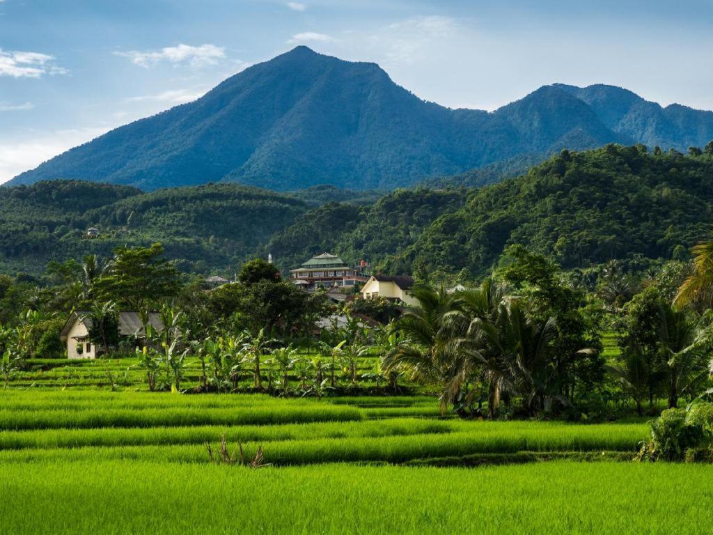 The Mirah Hotel Bogor Zewnętrze zdjęcie